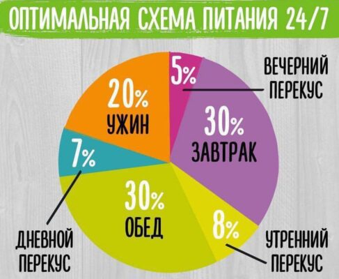оптимальная схема питания